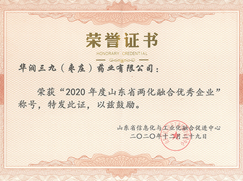 2020年度山东省两化融合优良企业