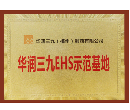 ng电子游戏EHS示范基地
