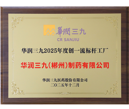 ng电子游戏 2025 年度创一流标杆工厂