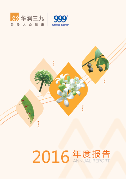 ng电子游戏：2016年年度汇报