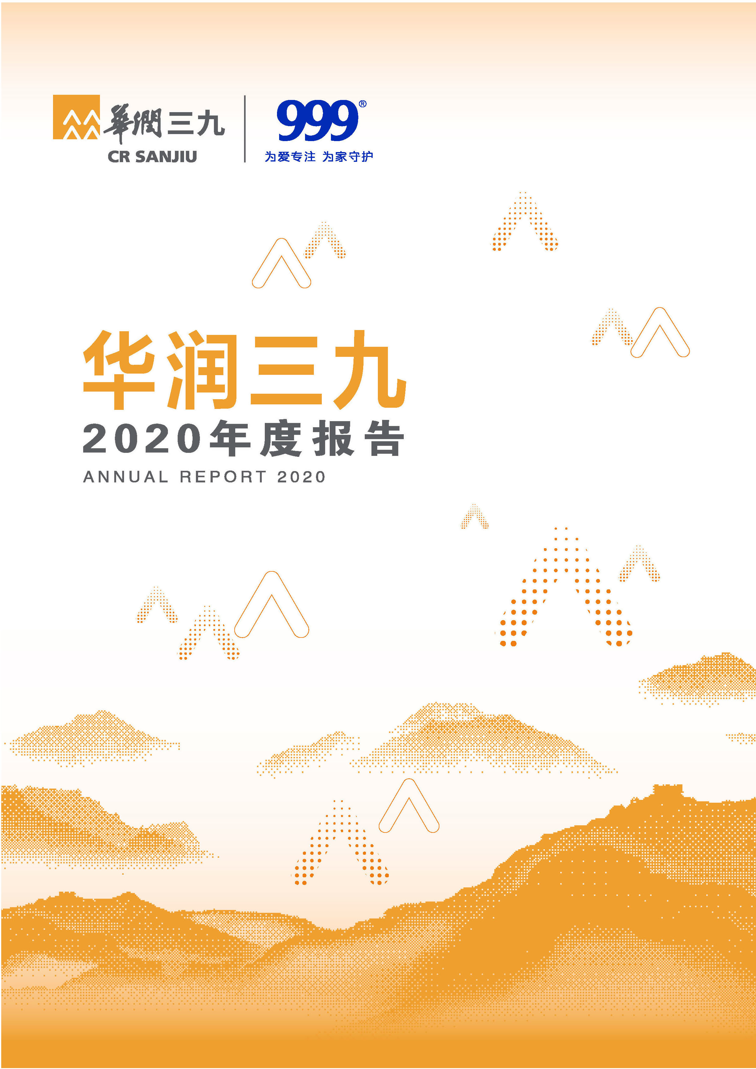 ng电子游戏：2020年年度汇报