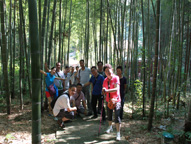 ng电子游戏·(中国区)官方网站
