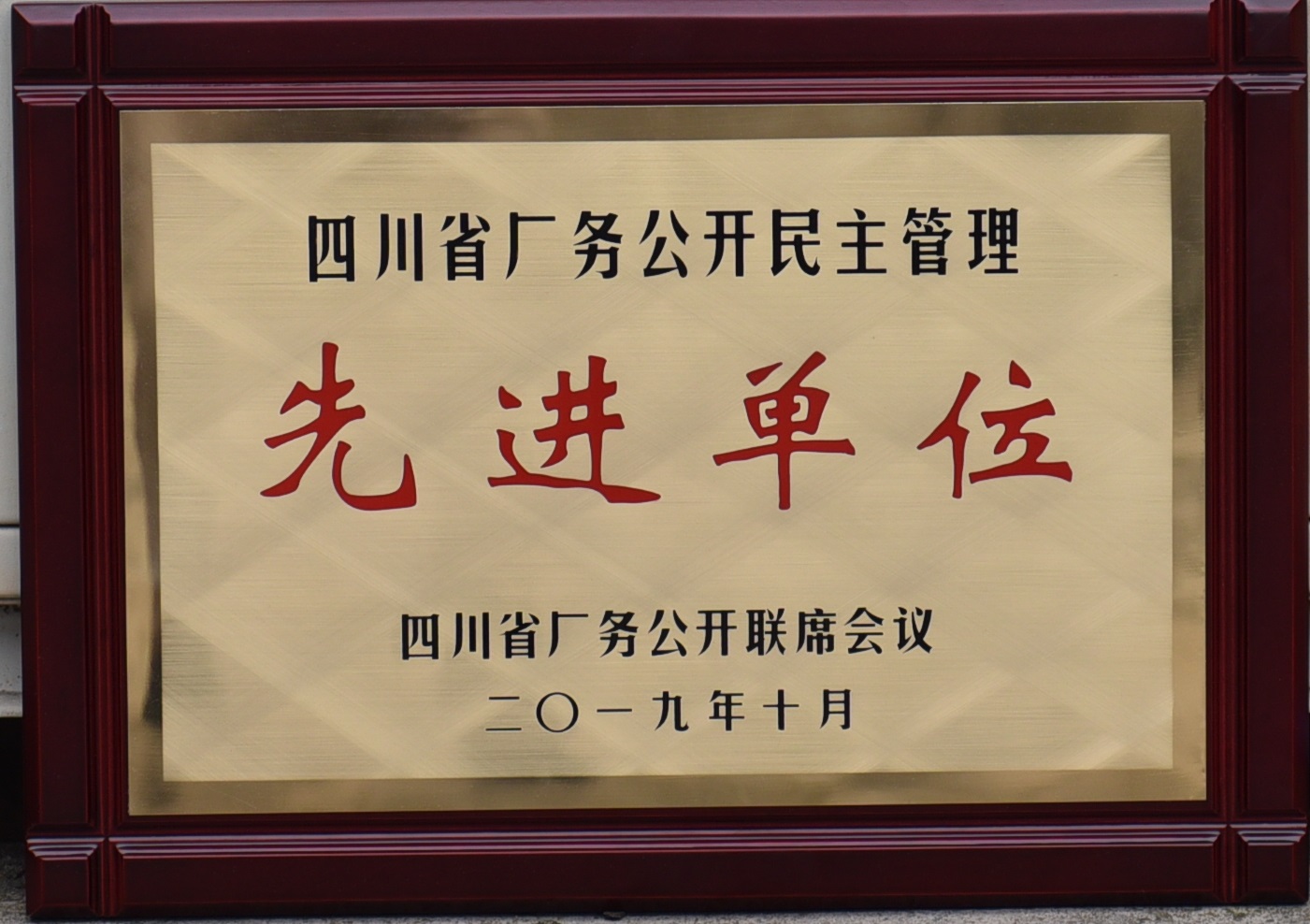 四川省厂务公开民主治理先进单元